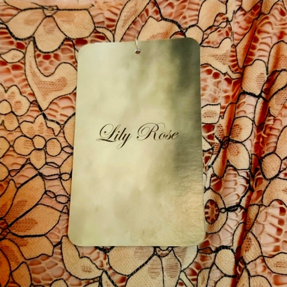 NWT Lily Rose Blush Color Lace Dress SZ L - Picture 4 of 5